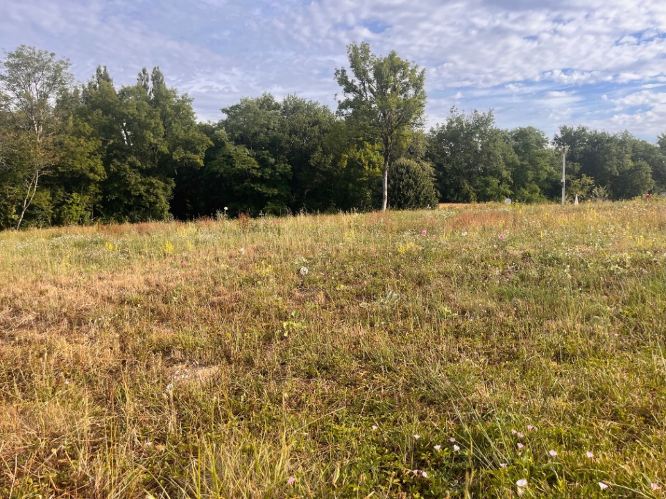 Joli terrain constructible viabilisé de 900m2 à Frontenac (33760)