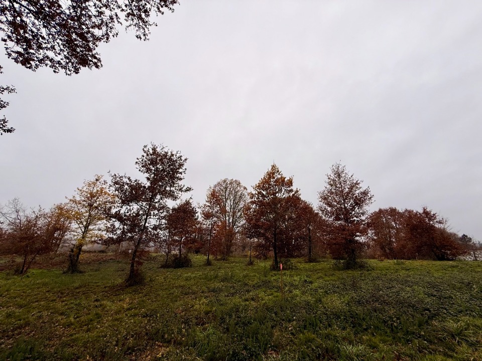 Superbe terrain à construire viabilisé disponible à Maurens