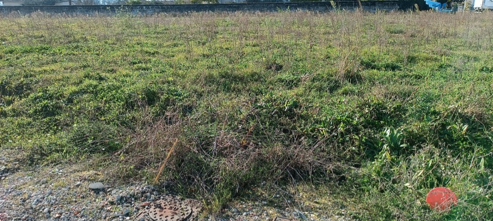 terrain en vente à Gauriaguet (33240)