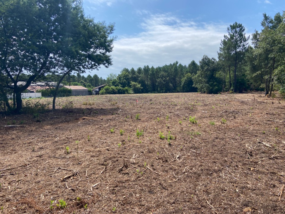 Magnifique terrain constructible de 655m2 à Mimizan