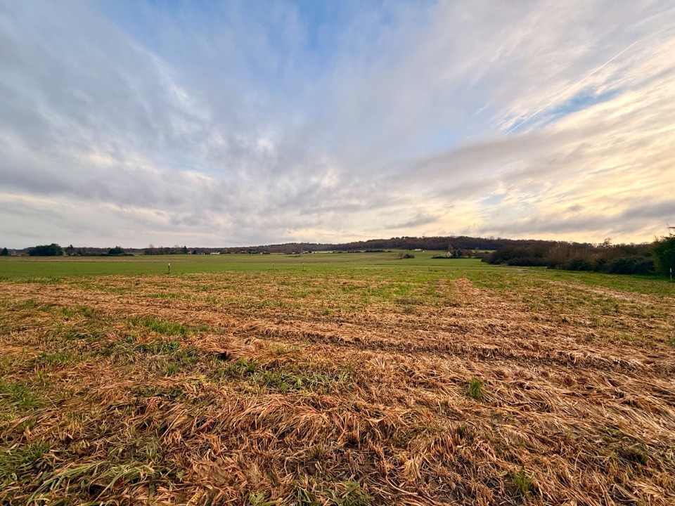 Sublime maison individuelle à Mouleydier (24520)