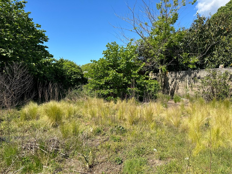 terrain constructible de 1000m2 disponible à Lugos