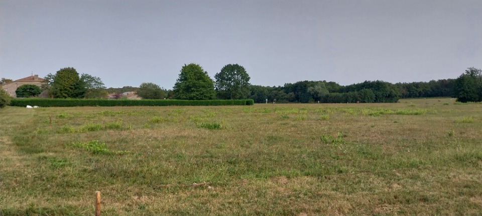 terrain à batir de 500m2 en vente à Castelnau-de-Médoc (33480)