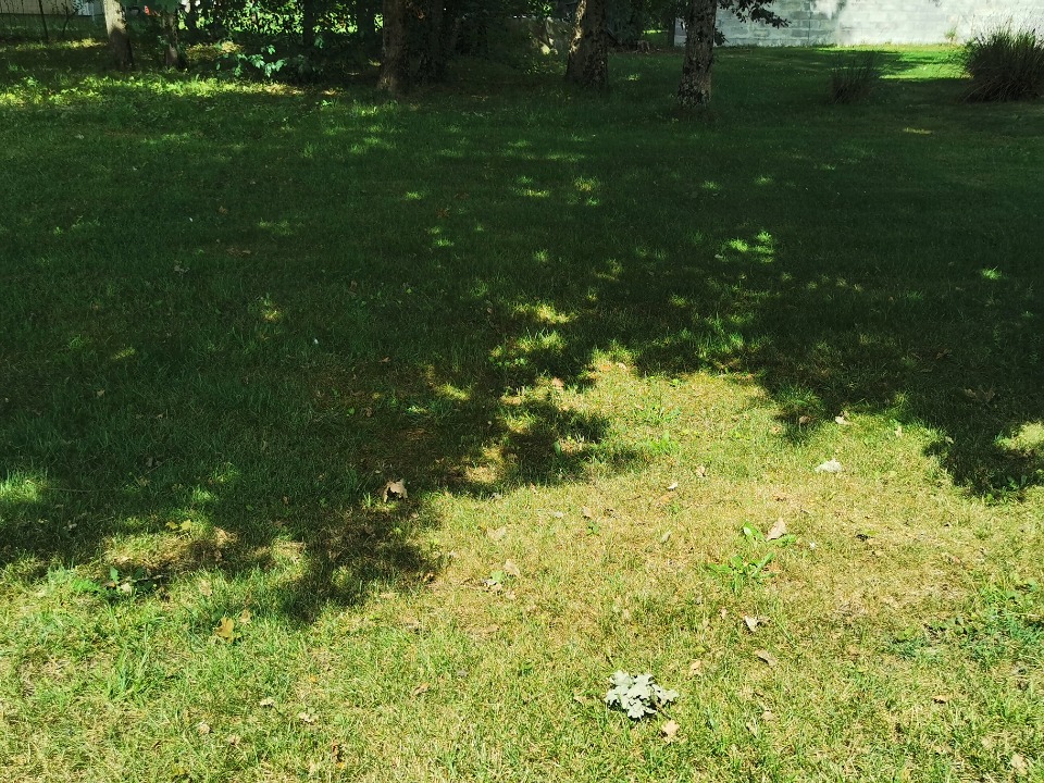 Acheter un terrain constructible viabilisé de 725m2 disponible à Le Temple (33680)