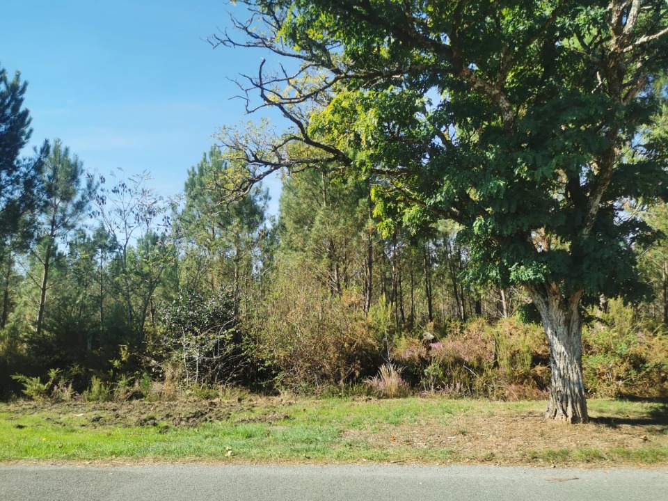 terrain constructible viabilisé de 491m2 disponible à Castres-Gironde (33640)