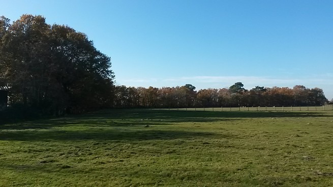 terrain constructible viabilisé à Marmande (47200)