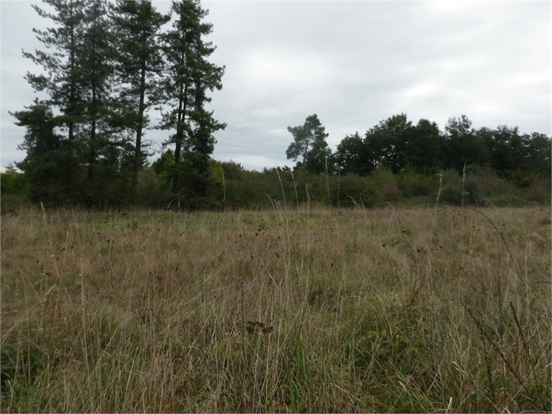 terrain à Castres-Gironde (33640)