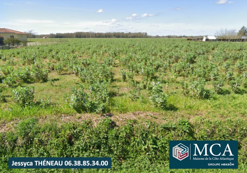 terrain constructible viabilisé en vente à Onard (40380)