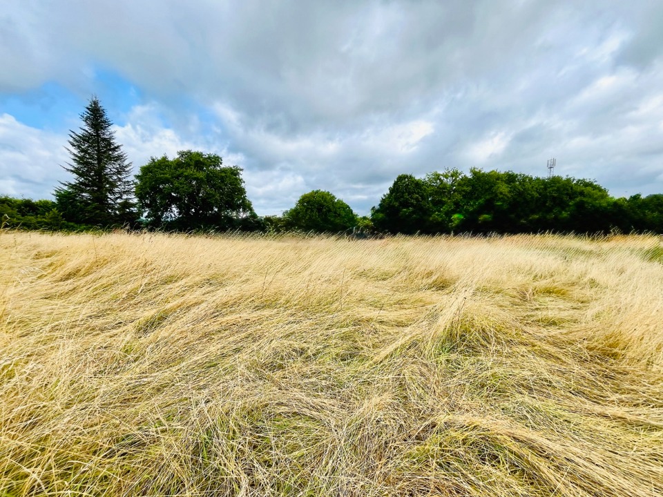 terrain à batir de 1000m2 en vente à Saint-Pierre-de-Chignac (24330)