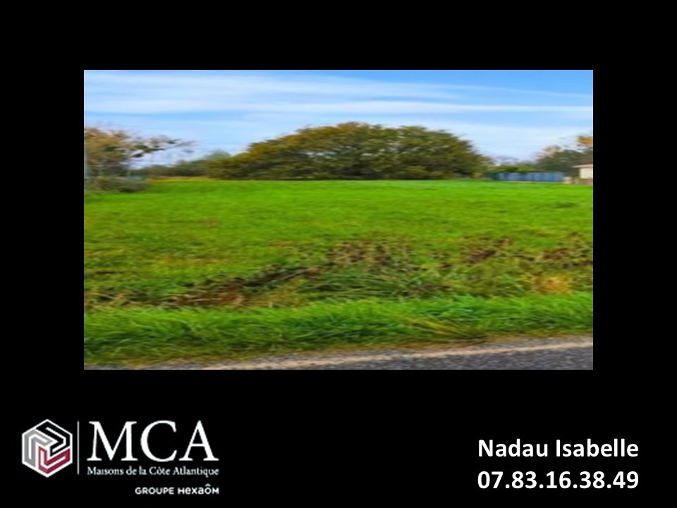 terrain constructible viabilisé de 2400m2 en vente à Eyrans