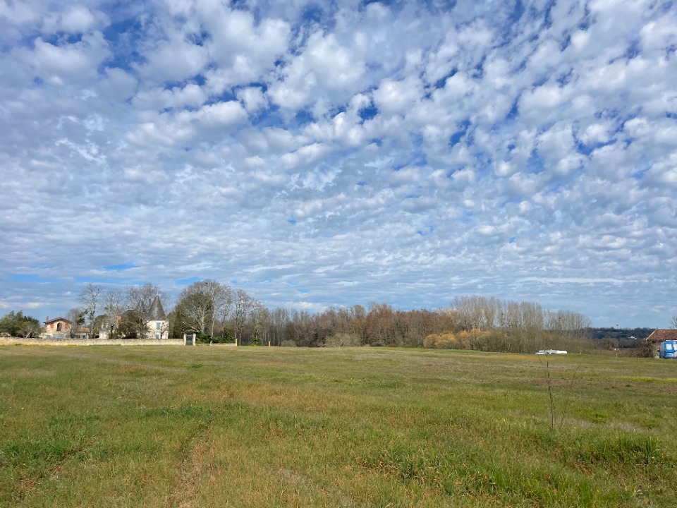 Joli terrain constructible de 650m2 en vente à Virelade (33720)