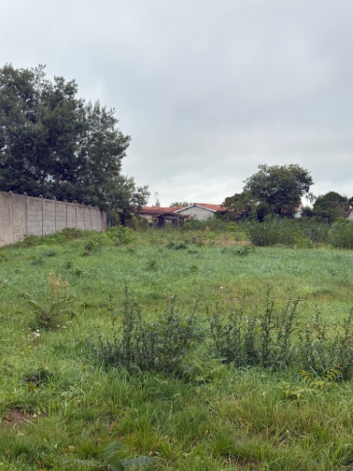 terrain à batir disponible à Villegouge (33141)