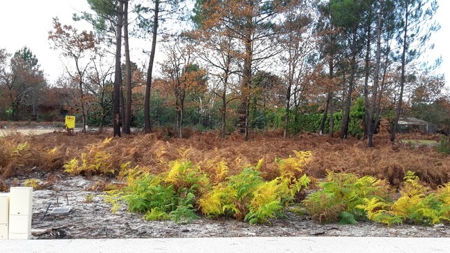 terrain viabilisé disponible à Saint-Magne