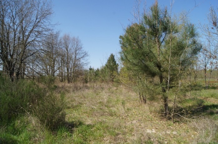 terrain à construire de 900m2 disponible à Le Barp