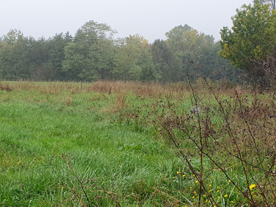 terrain à construire viabilisé disponible à Tizac-de-Lapouyade (33620)