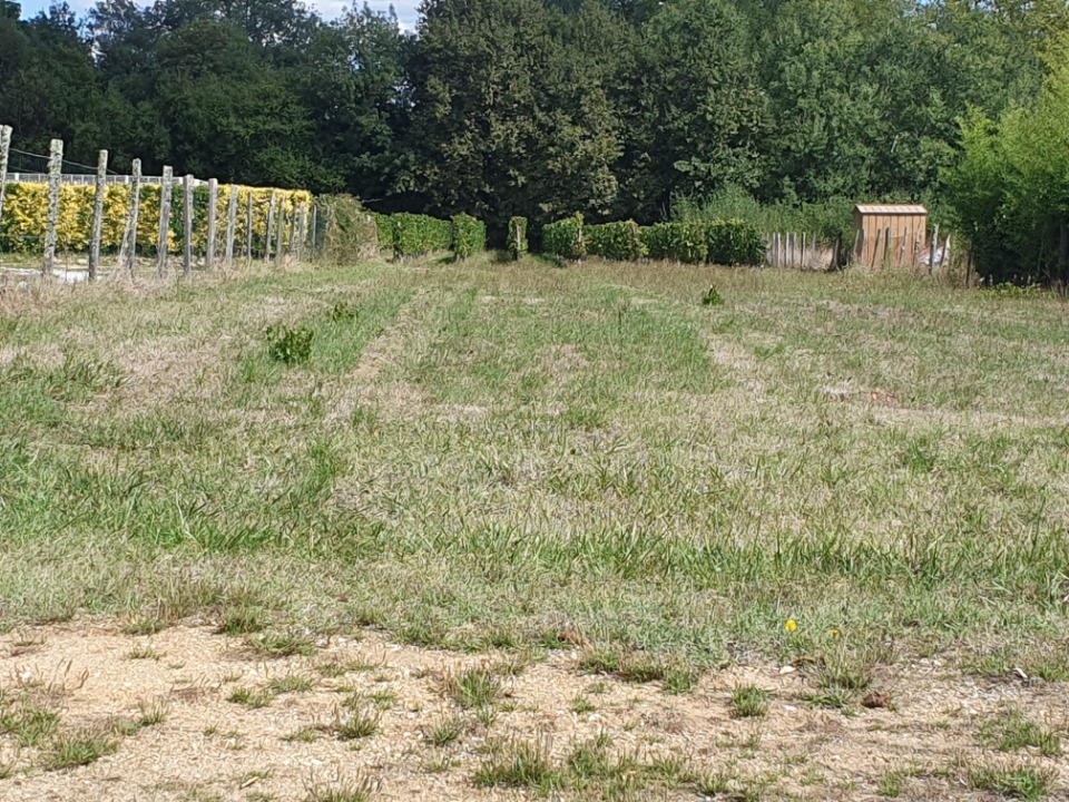 Beau terrain à construire de 500m2 en vente à Périssac (33240)