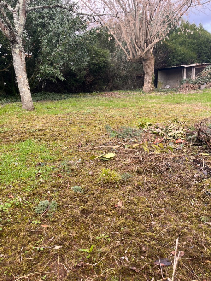 terrain à Castres-Gironde (33640)