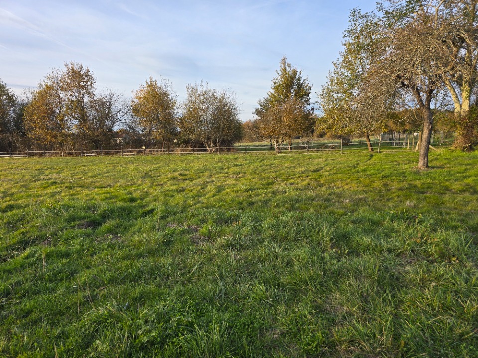 terrain à vendre de 919m2 disponible à La Force (24130)