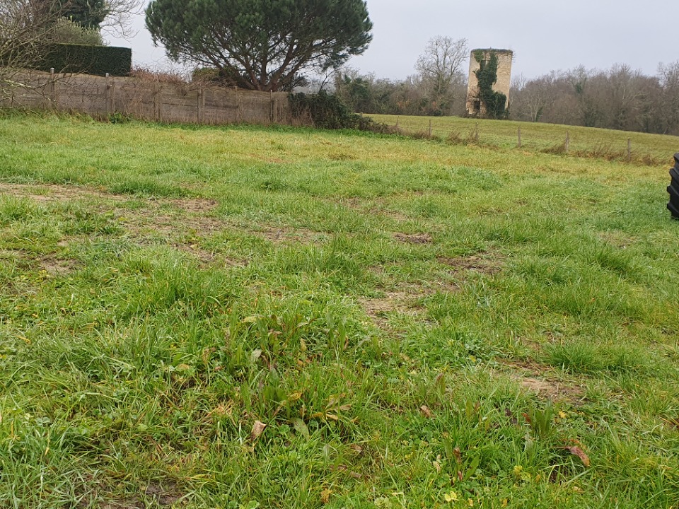 Très beau terrain à batir de 794m2 disponible à Salignac (33240)