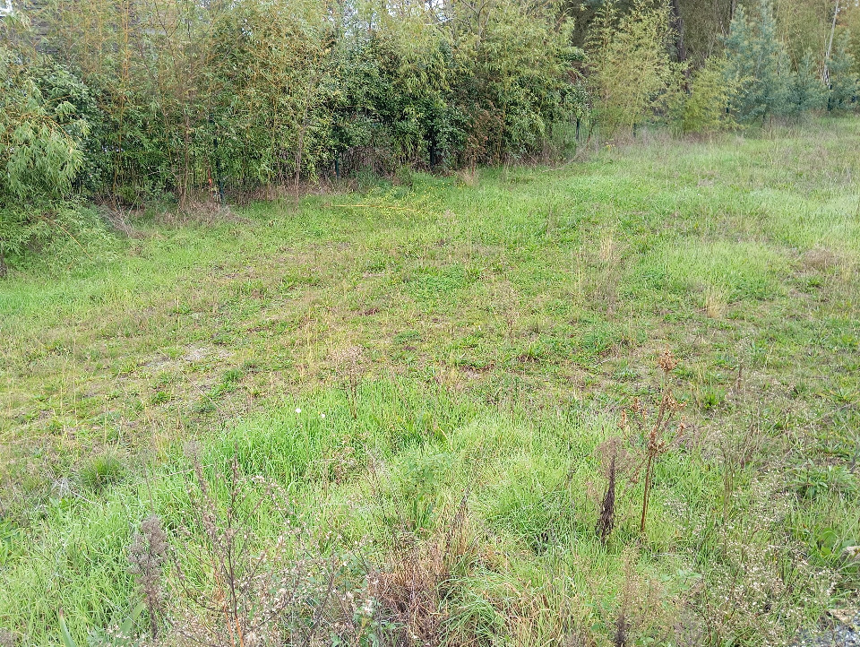 Beau terrain de 425m2 disponible à Le Teich (33470)