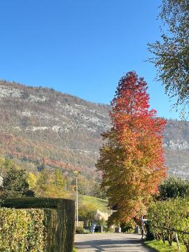 LE DOMAINE DES GROSSES PIERRES