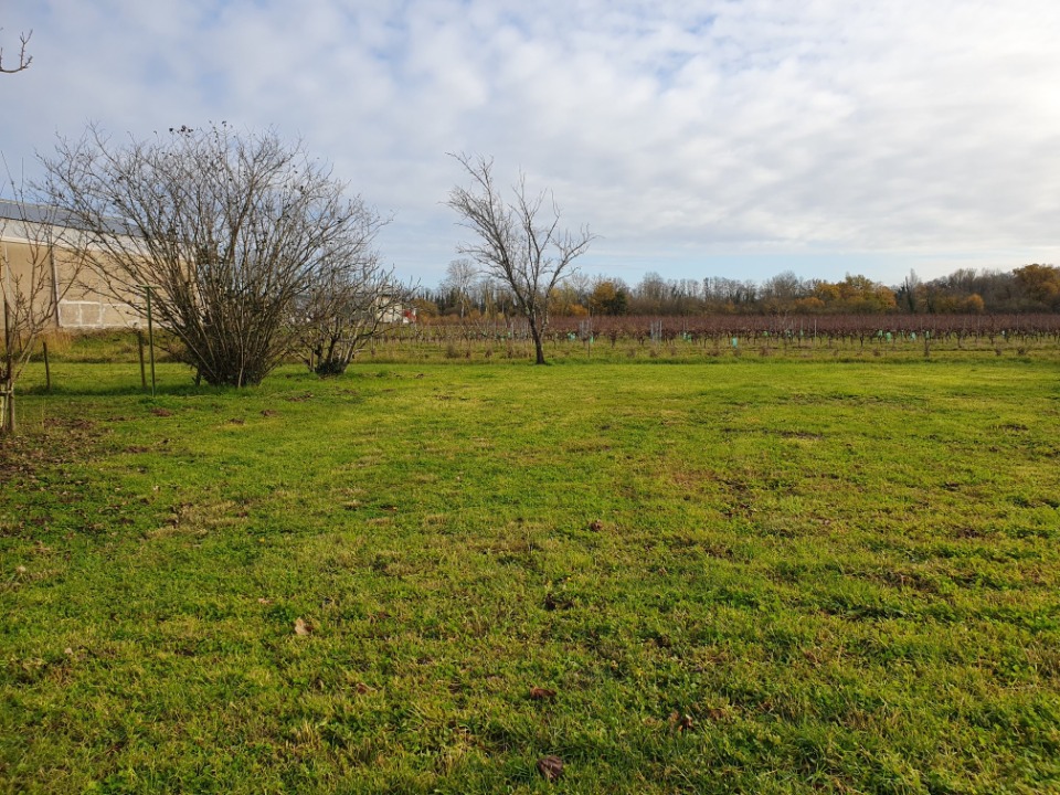 Superbe terrain à batir viabilisé de 600m2 disponible à Saint-André-de-Cubzac (33240)