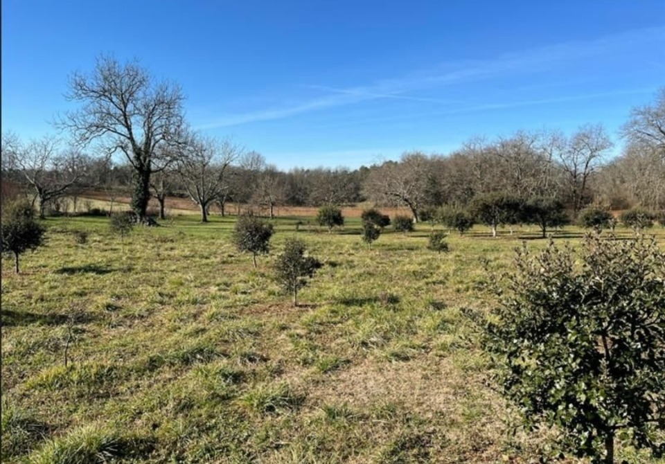 terrain constructible viabilisé de 3800m2 disponible à Saint-Germain-des-Prés