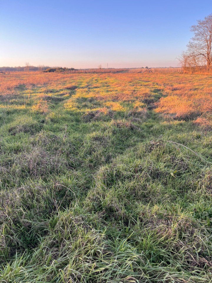 terrain à batir viabilisé disponible à Langon (33210)