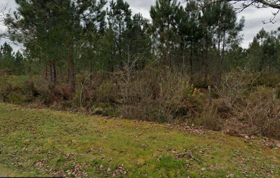 Joli terrain à vendre disponible à Saucats