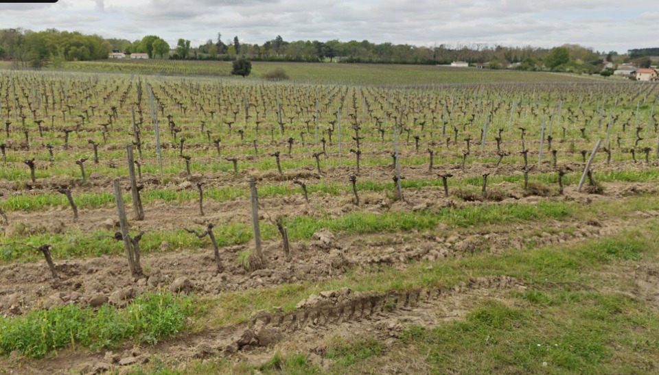 terrain à batir en vente à Artigues-près-Bordeaux