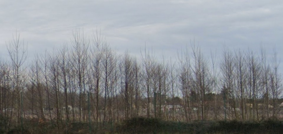 terrain constructible viabilisé de 500m2 en vente à Beychac-et-Caillau (33750)