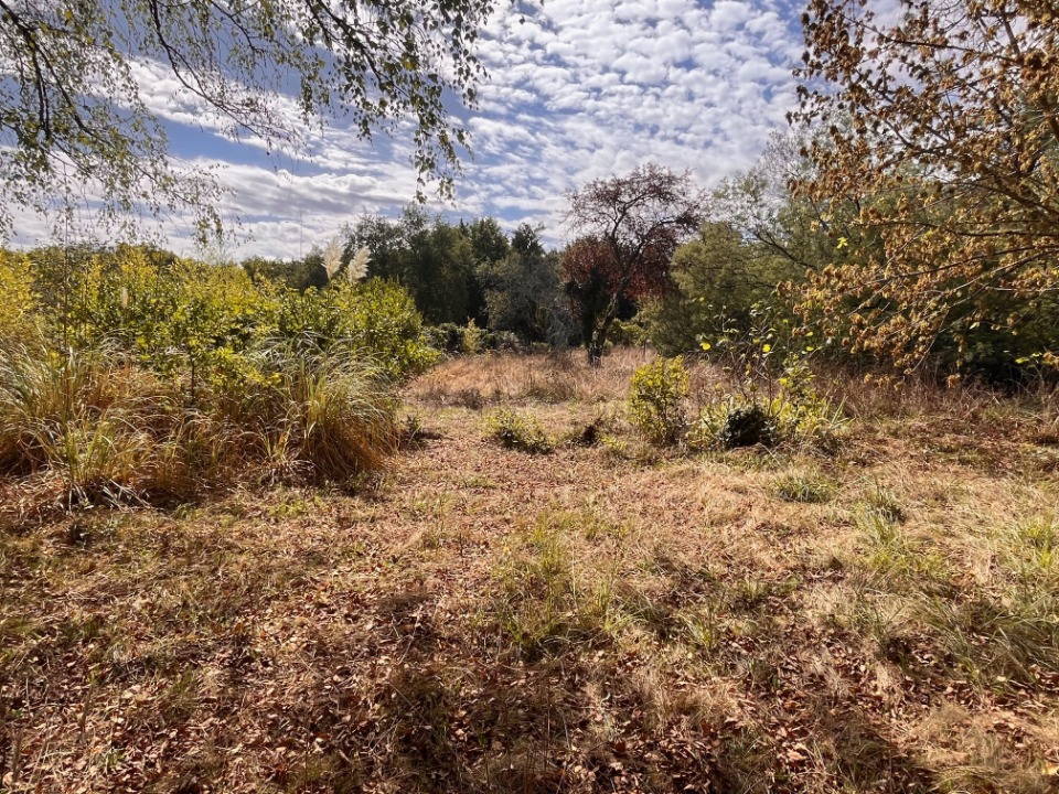 Magnifique terrain à construire de 4000m2 en vente à Cénac (33360)