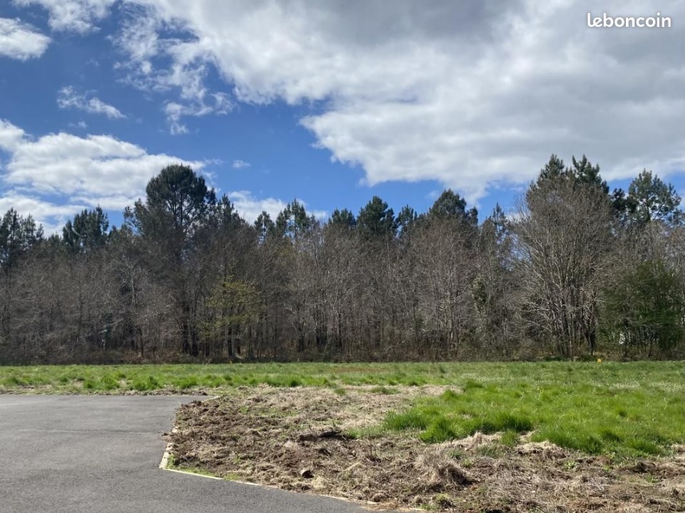 terrain à vendre à La Brède (33650)