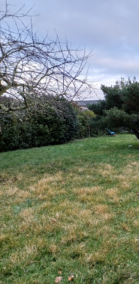 Acheter un terrain à vendre à Le Taillan-Médoc (33320)