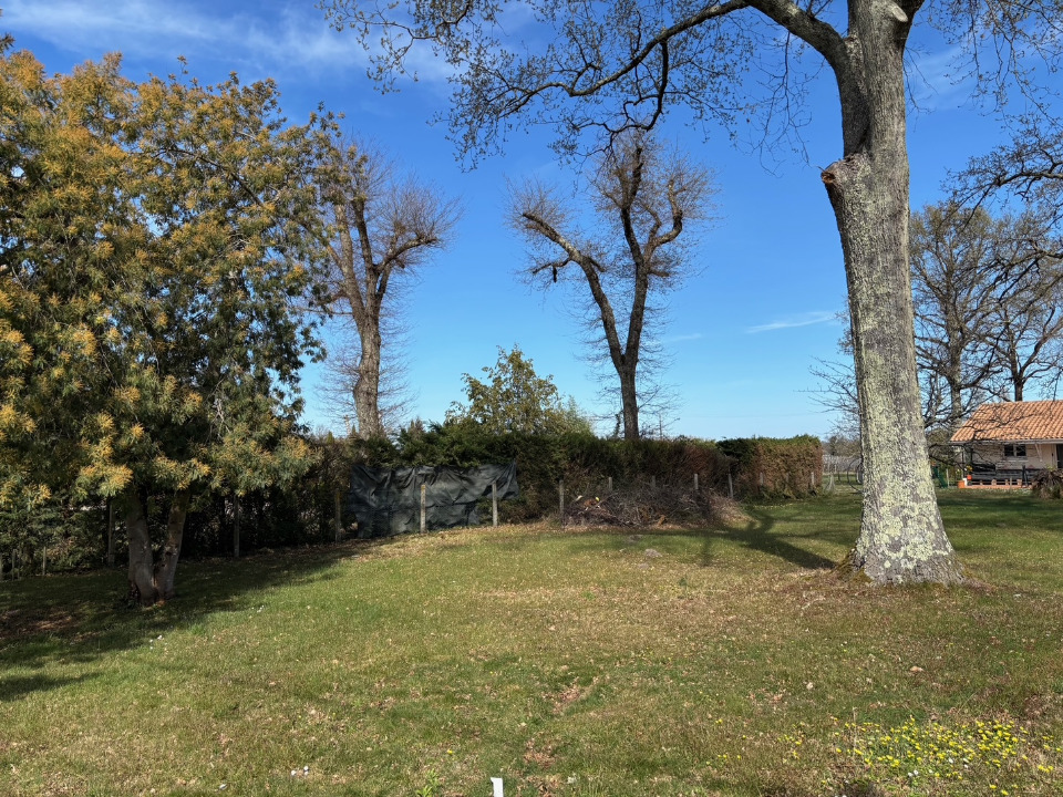 Ravissant terrain constructible viabilisé à Saint-Estèphe (33180)