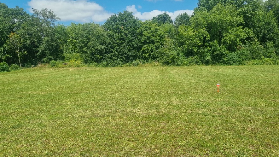 Beau terrain constructible viabilisé en vente à Salleb?uf