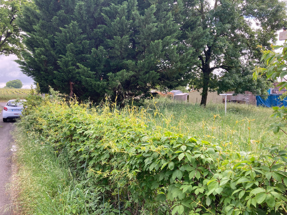 Sublime terrain à vendre viabilisé disponible à Chaniers