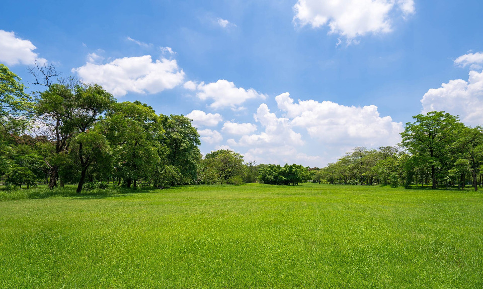 terrain constructible disponible à Saint-Quentin-de-Baron