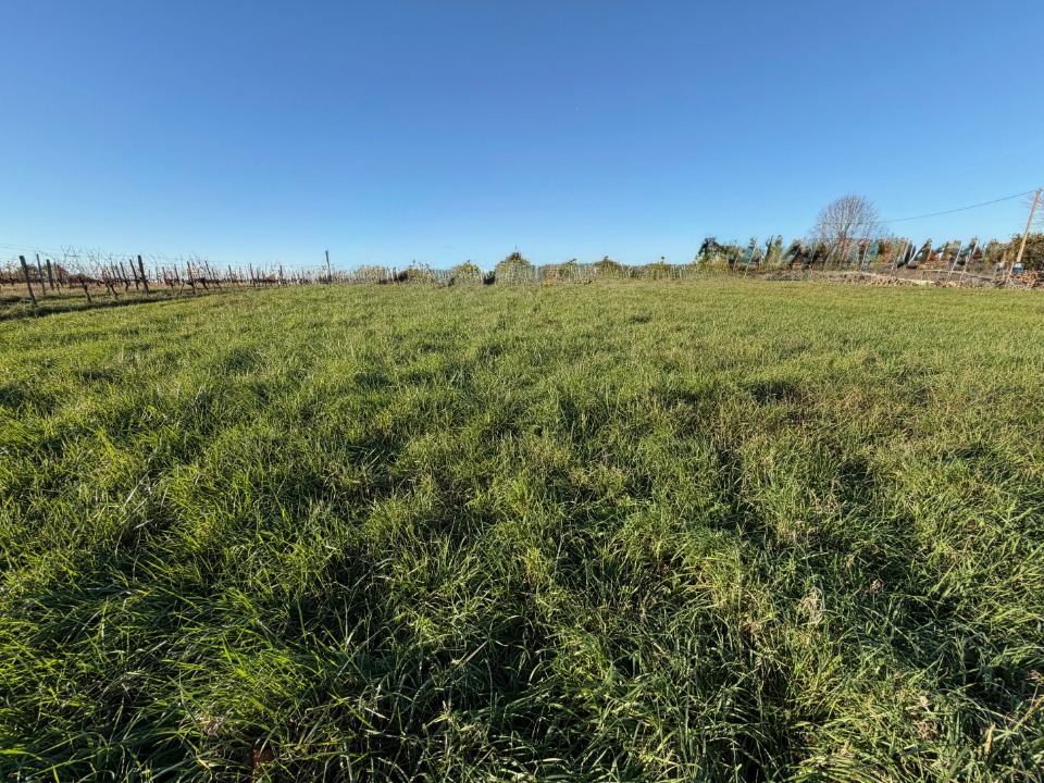 Agréable terrain constructible viabilisé de 561m2 à Capian