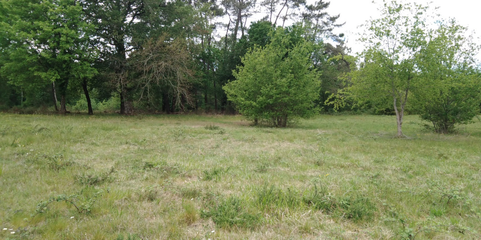 terrain constructible en vente à Saint-Barthélemy-de-Bellegarde (24700)