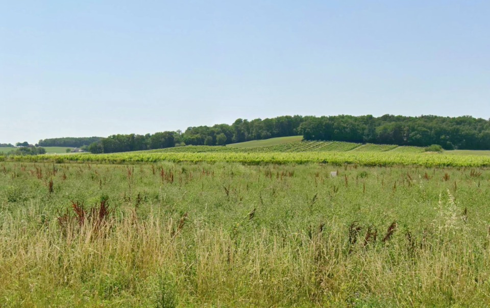 Sublime terrain constructible viabilisé à Flaugeac (24240)