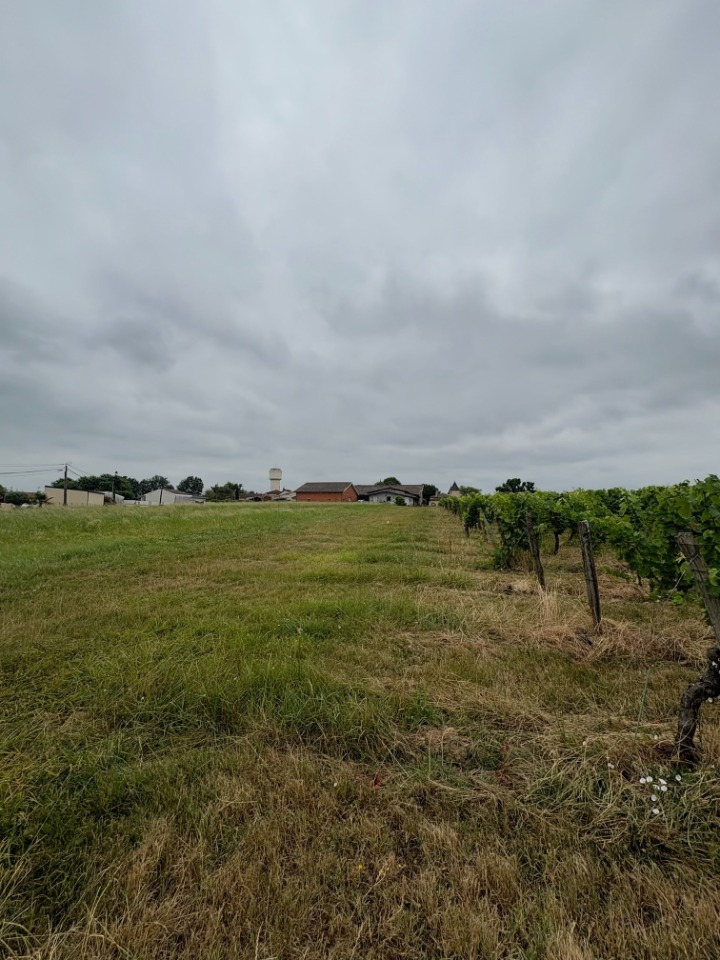 terrain à vendre de 780m2 à Laroque (33410)