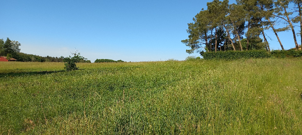 Joli terrain constructible disponible à Échourgnac (24410)