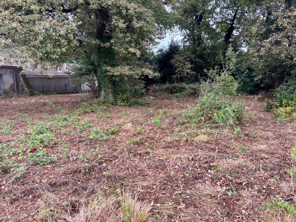 terrain à batir à Saint-Estèphe