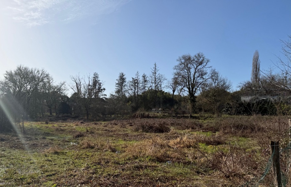 Charmant terrain disponible à Noaillan (33730)