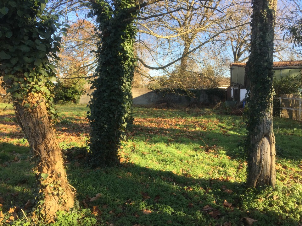 terrain à batir viabilisé de 500m2 disponible à Castres-Gironde (33640)