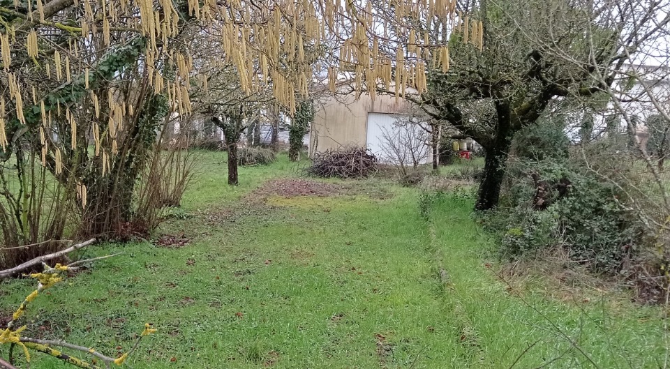 terrain à vendre en vente à Semussac (17120)