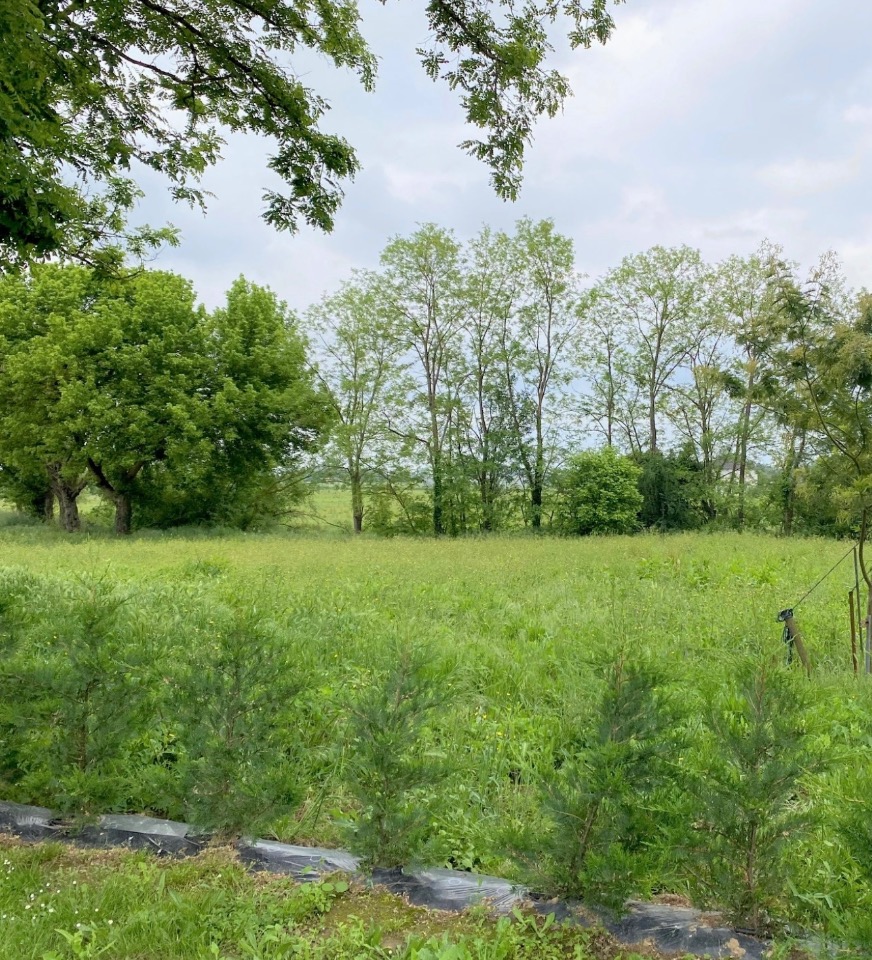 terrain à vendre disponible à Birac-sur-Trec