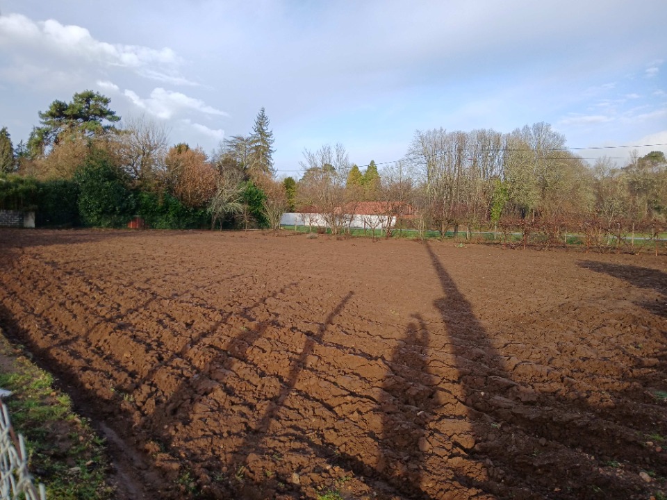 Agréable terrain à batir viabilisé de 1308m2 disponible à Antonne-et-Trigonant (24420)