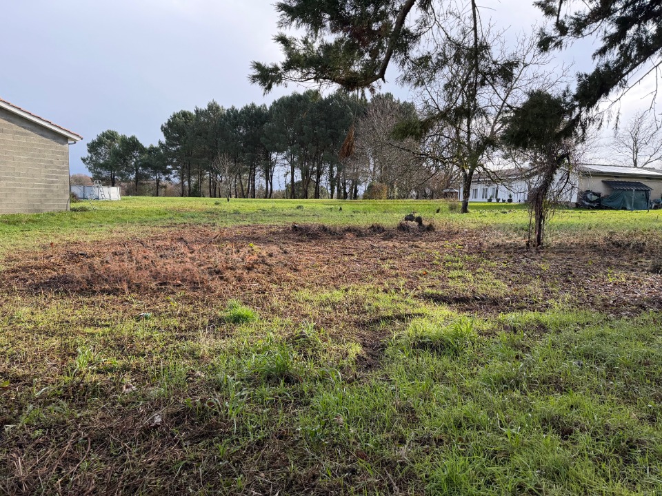 Magnifique terrain à construire viabilisé disponible à Bassanne (33190)